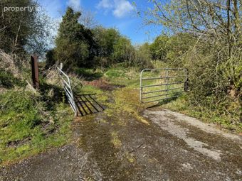 Land C. 29 Acres, Milltown, Dunlavin, Co. Wicklow - Image 4