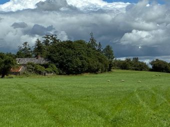 Farmhouse On 9.1 Acres, Kilmog, Kilkenny, Cuffesgrange, Co. Kilkenny - Image 3