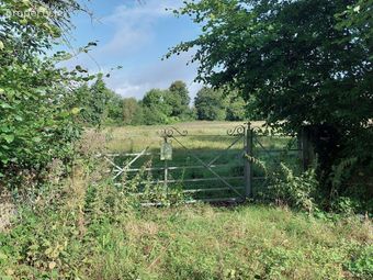 Land Approx. 1.99 Hectares, The Rookery, Abbeyleix, Co. Laois, Abbeyleix, Co. Laois - Image 3