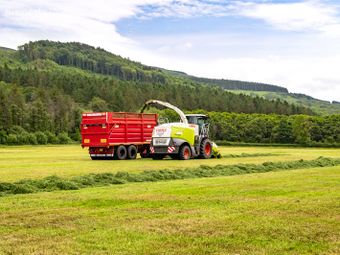 Lot 3 - Land At Ballycarton, Aghanloo Road, Limavady, Co. Derry, Limavady, Co. Derry - Image 3