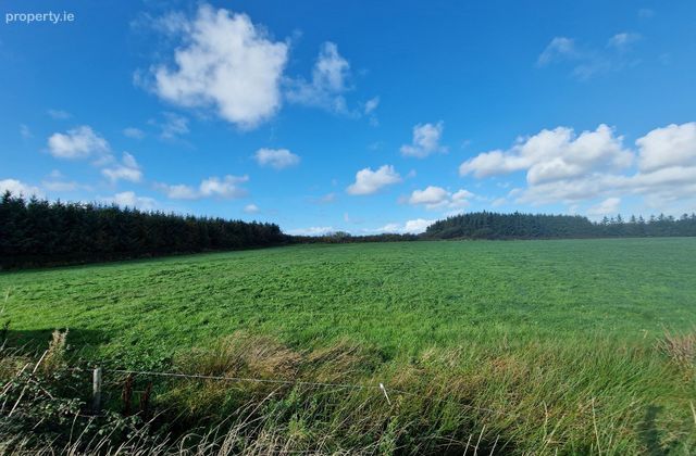 Newtown, Doonbeg, Clare, Doonbeg, Co. Clare - Click to view photos
