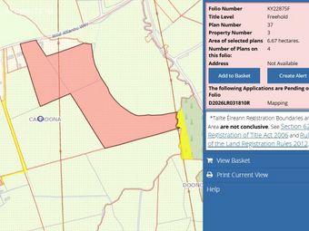 16.48 Acre Forestry Plantation Carhoona, Tarbert, Co. Kerry - Image 2