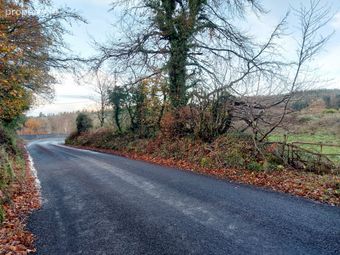 Cooleycasey, Sixmilebridge, Co. Clare - Image 2