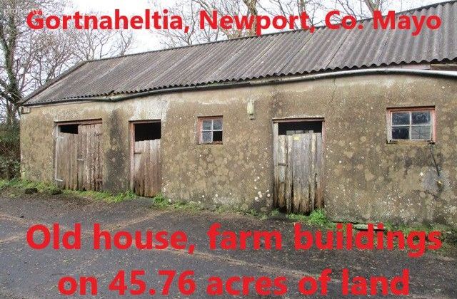 Gortnaheltia, Newport,co. Mayo, Newport, Co. Mayo - Click to view photos