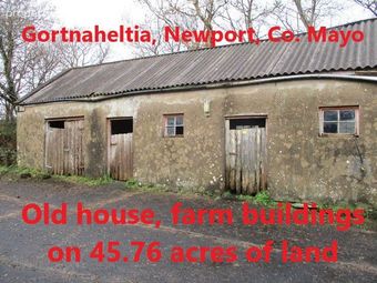 Gortnaheltia, Newport,co. Mayo, Newport, Co. Mayo