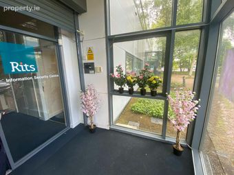 2052 Castle Drive, Citywest Business Campus, Dublin 24, Dublin 24 - Image 3