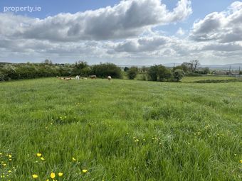 Springtown ,granard , Co Longford, Granard, Co. Longford - Image 5