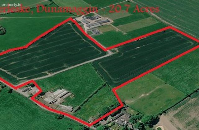 Caherleske, Dunnamaggan, Co. Kilkenny - Click to view photos