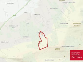 Forestry Land, Cappagh, Kilflynn, Co. Kerry, Kilflynn, Co. Kerry - Image 4