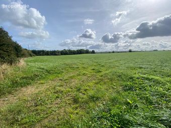 Puckstown, Dunleer, Co. Louth - Image 2