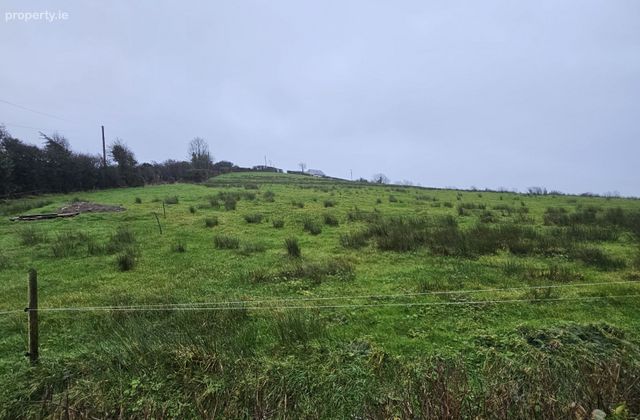 Corlea, Ballybay, Co. Monaghan, Ballybay, Co. Monaghan - Click to view photos