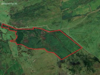 C. 41.5 Acres Forestry, Barnastooka, Kilgarvan, Co. Kerry