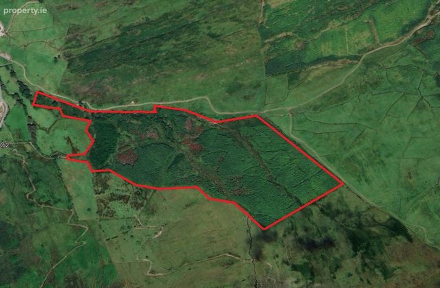 C. 41.5 Acres Forestry, Barnastooka, Kilgarvan, Co. Kerry - Click to view photos