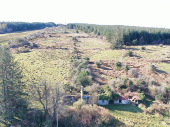 Fauleens, Ballaghaderreen, Mayo, Co. Mayo