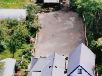 Triskell Flower Farm, Cloonagh, Dromard, Co. Sligo - Image 5