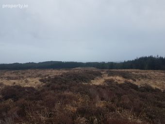 Tyreda Upper, Tulla, Co. Clare - Image 2