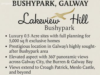 Lakeview Hill Sites, Barnacranny, Bushypark, Galway City, Ballagh, Co. Galway - Image 3