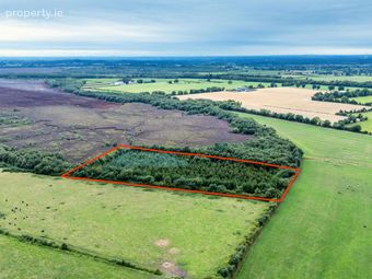 Rathure North, Killyon, Birr, Co. Offaly., Rath, Co. Offaly - Image 2