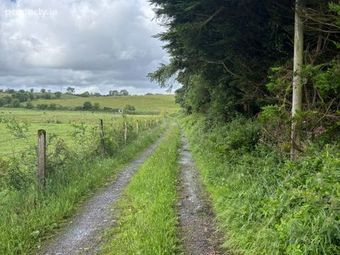 Gurteen, Cloonfad, Co. Roscommon - Image 5