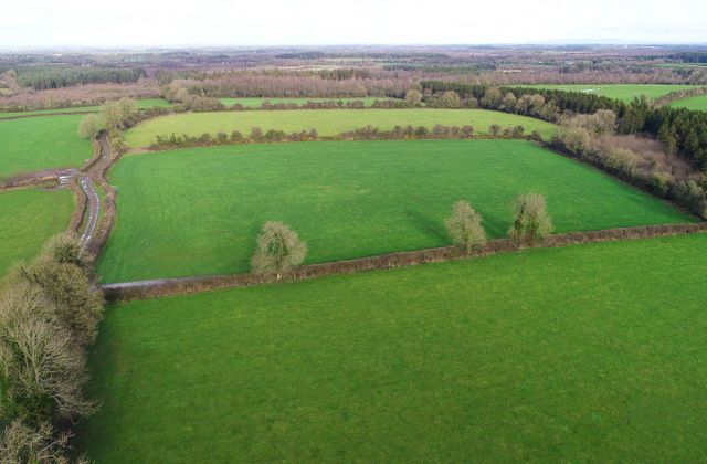 Ballinure, Thurles, Co. Tipperary - Click to view photos