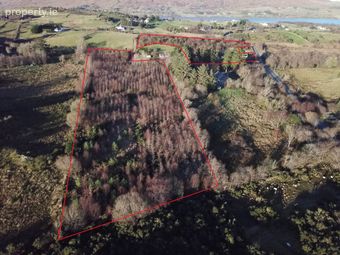 Forestry At Cloghbrack Upper, Cloughbrack Upper, Cornamona, Co. Galway, Cornamona, Co. Galway - Image 3