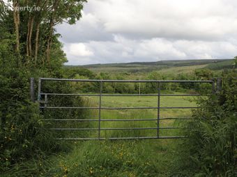 1.1 Acre Site Holymount, Peterswell, Gort, Co. Galway - Image 3
