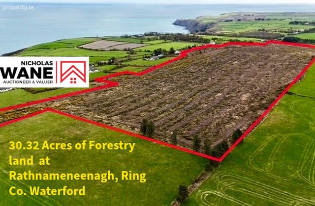 Rathnameneenagh,ring Co.waterford, Ring, Co. Waterford - Click to view photos