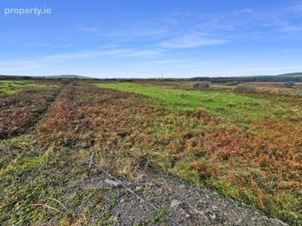 Moveen East, Kilkee, Co. Clare, Kilkee, Co. Clare - Image 4