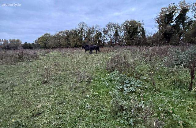 Philipstown Upper, Cushina, Co. Offaly - Click to view photos