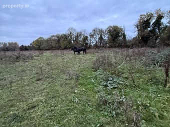 Philipstown Upper, Cushina, Co. Offaly