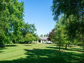Greenogue, Southgreen, Kildare, Co. Kildare - Image 4