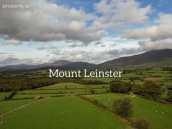 Slievedurda Borris Co Carlow, Borris, Co. Carlow - Image 3