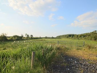 Tartan, Ballinameen, Co. Roscommon, Ballinameen, Co. Roscommon