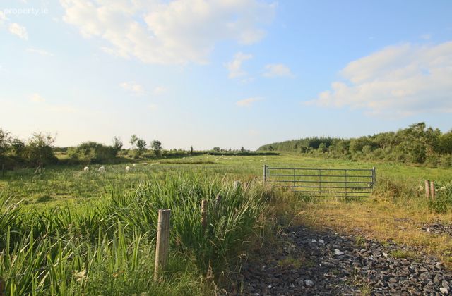 Tartan, Ballinameen, Co. Roscommon, Ballinameen, Co. Roscommon - Click to view photos