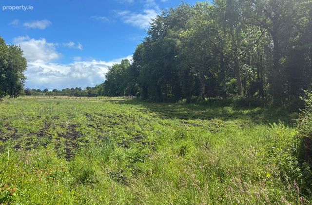 Site, Rossarrell, Glaslough, Co. Monaghan, Glaslough, Co. Monaghan - Click to view photos