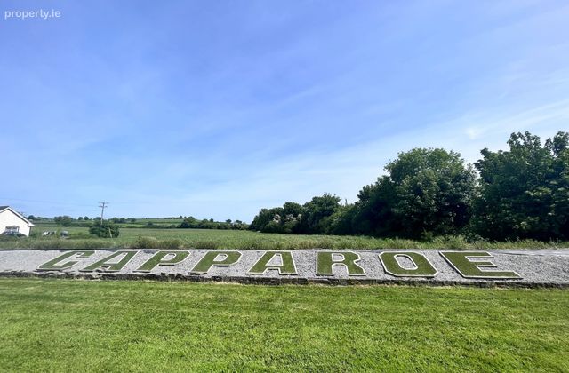 Capparoe, Nenagh, Co. Tipperary, Carrigatogher, Co. Tipperary - Click to view photos
