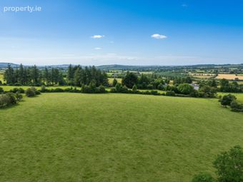 Land C. 49 Acres - 19.82 Ha., Mullycagh Upper, Donard, Co. Wicklow - Image 4