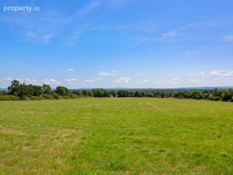 Lot 1 - Land At Newtown, Bonnettstown, Co. Kilkenny, Tullaroan, Co. Kilkenny - Image 5
