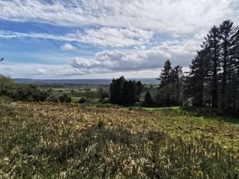 Tullagubbeen, Castleisland, Co. Kerry - Image 3
