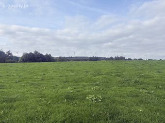 Druminda, Cappagh White, Co. Tipperary - Image 4