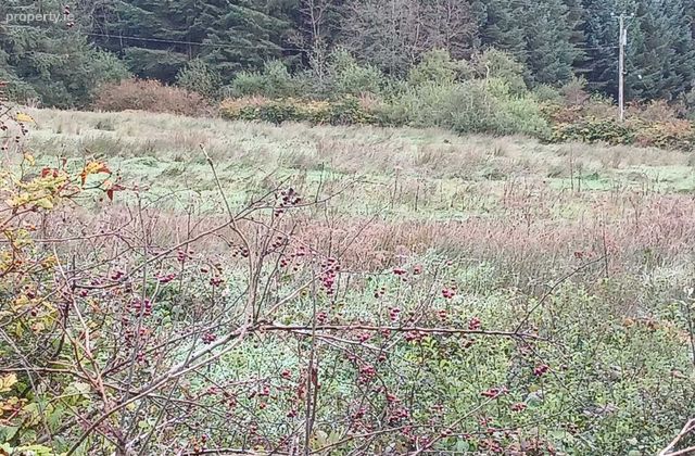 Glencollins, Ballydesmond, Co. Cork - Click to view photos