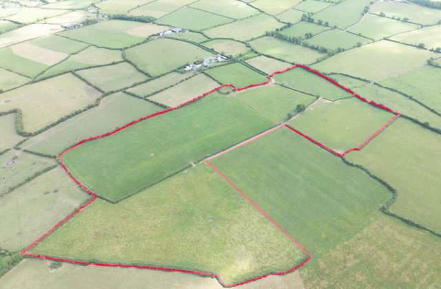 Dollas, Croom, Co. Limerick, Croom, Co. Limerick - Click to view photos