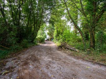 Springmount House, Sunday's Well Road, Sunday's Well, Co. Cork - Image 4