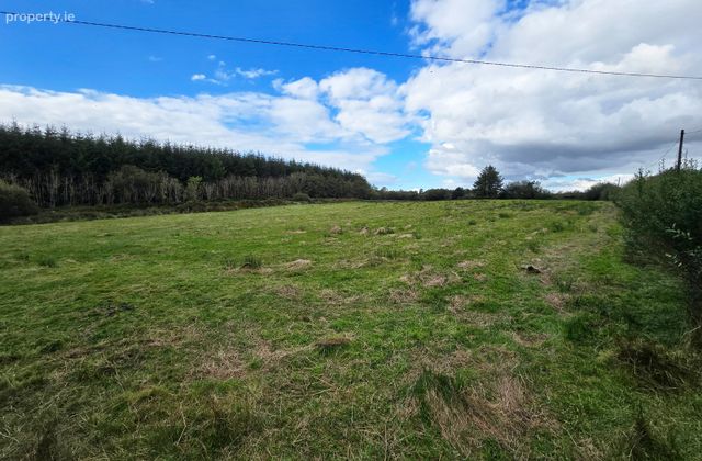 Ballydineen, Lissycasey, Co. Clare, Lissycasey, Co. Clare - Click to view photos