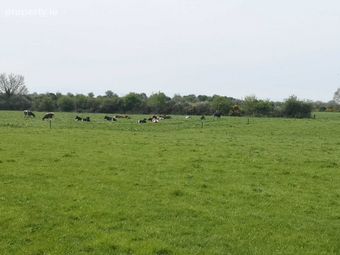 C19 Acres Glanworth, Glanworth, Co. Cork, Glanworth, Co. Cork - Image 2