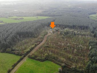Haremount, Kilmichael, Kilmichael, Co. Cork - Image 4