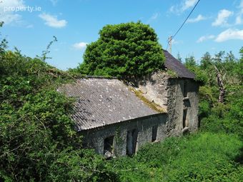Terelicken, Ballymahon, Co. Longford - Image 2