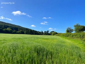 Forest View, Banteer, Mallow, Co. Cork, P51e0p2, Banteer, Co. Cork - Image 2