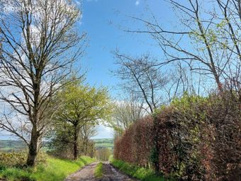 Carrigeen, Conna, Co. Cork - Image 2