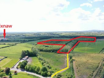 19.7 Acres Forestry Plantation Clogher, Lixnaw, Co. Kerry